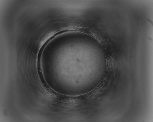 X0000093220292200710031444