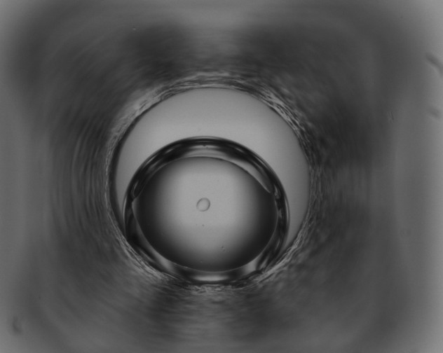 X0000093220293200710031444