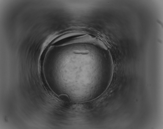 X0000093220294200710031444