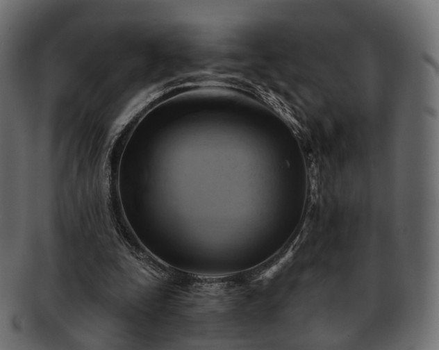 X0000093220295200710031444