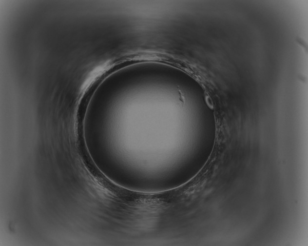 X0000093220296200710031444