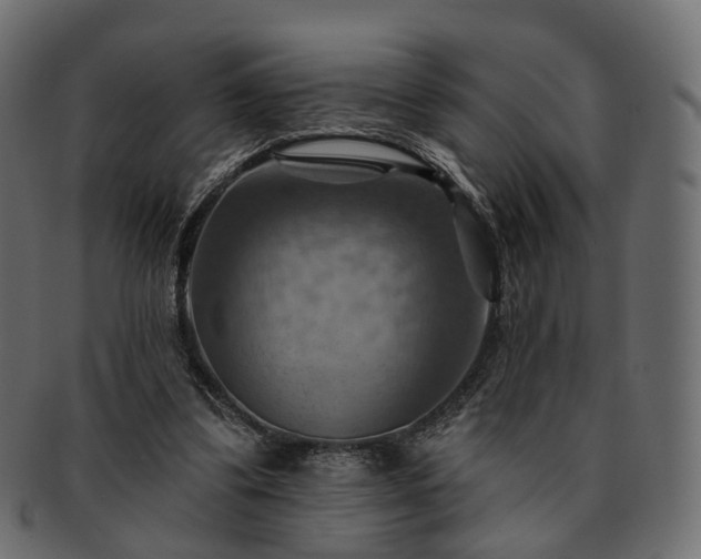 X0000093220299200710031444