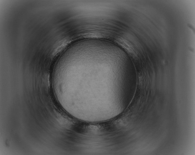 X0000093220302200710031444