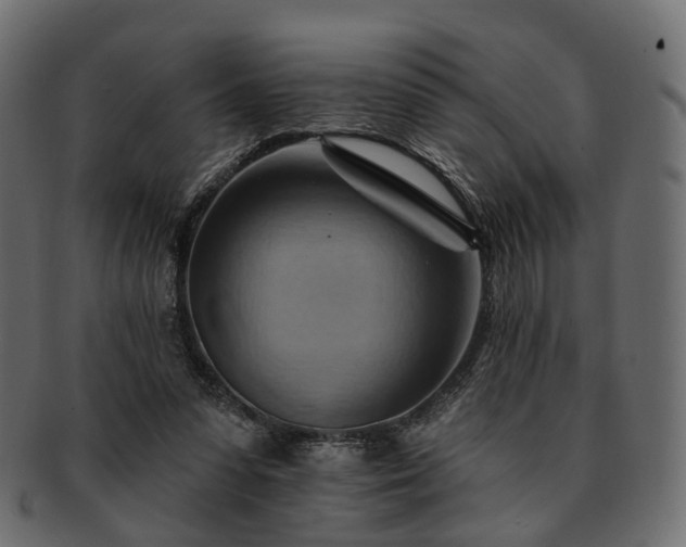 X0000093220303200710031444