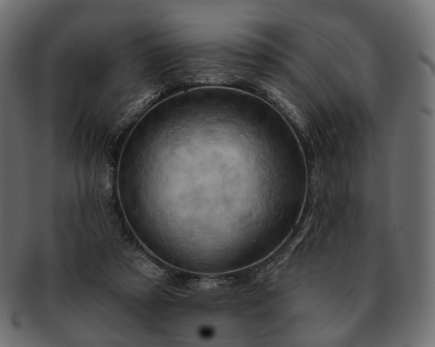 X0000093220305200710031444