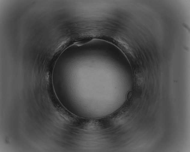 X0000093220308200710031444