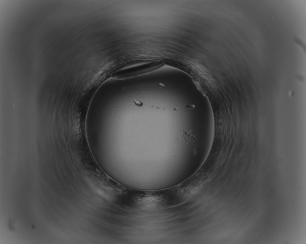 X0000093220312200710031444