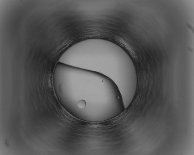 X0000093220313200710031444