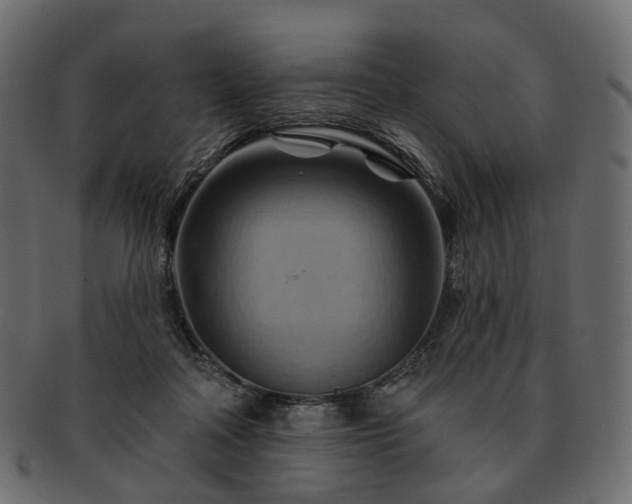 X0000093220314200710031444