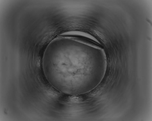 X0000093220315200710031444