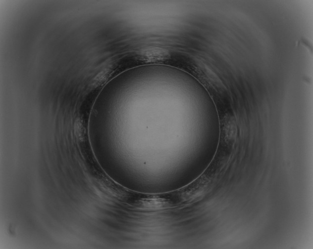 X0000093220316200710031444