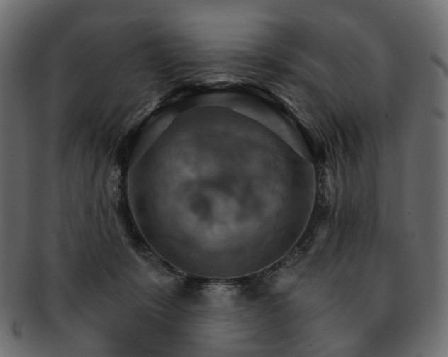 X0000093220319200710031444