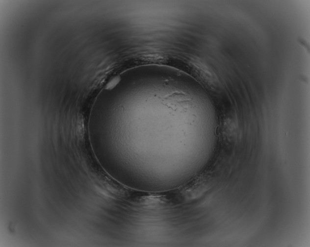 X0000093220320200710031444