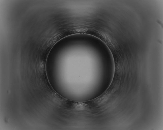 X0000093220321200710031444