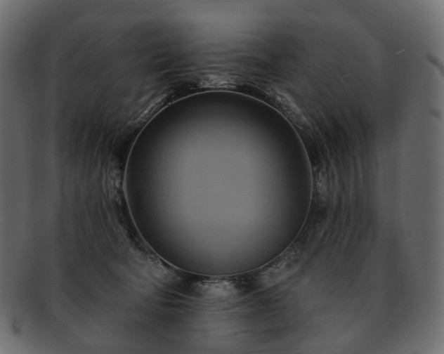 X0000093220322200710031444