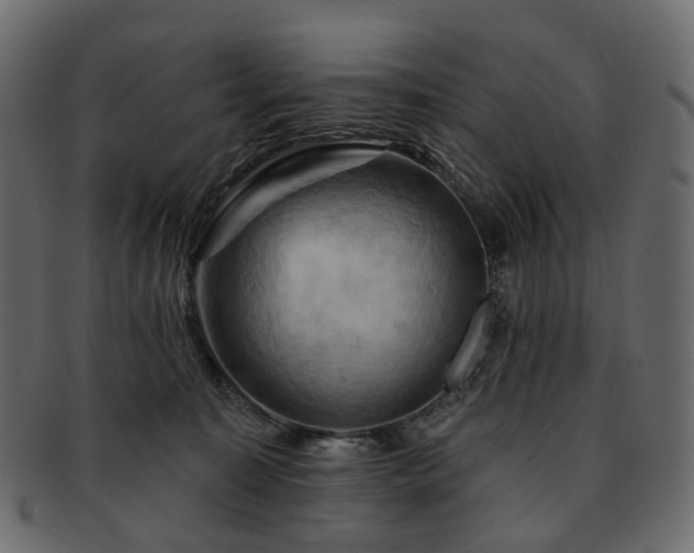 X0000093220323200710031444