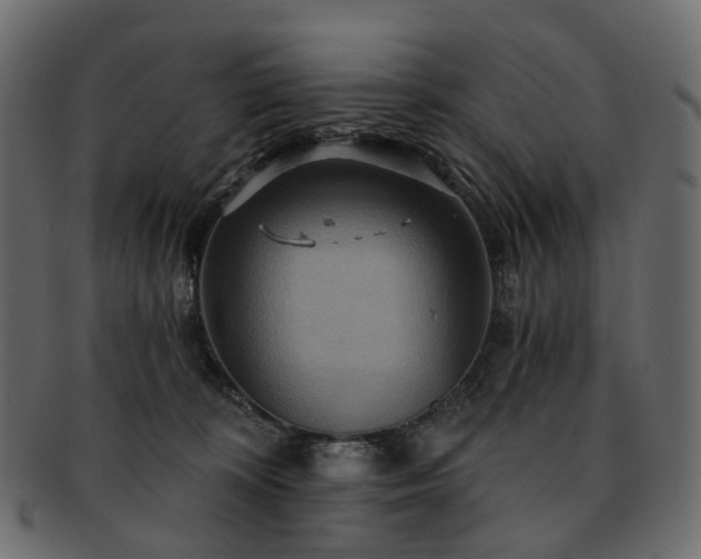 X0000093220324200710031444