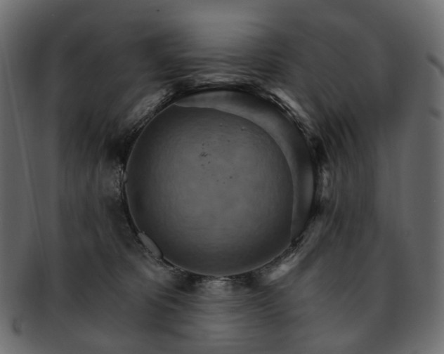 X0000093220325200710031444