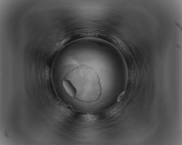 X0000093220326200710031444