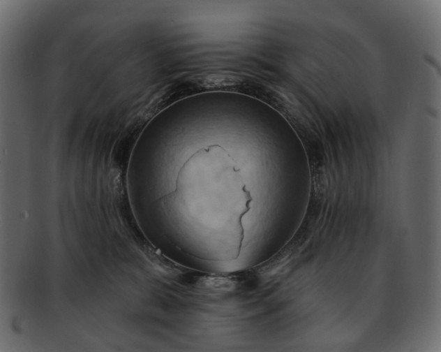 X0000093220327200710031444