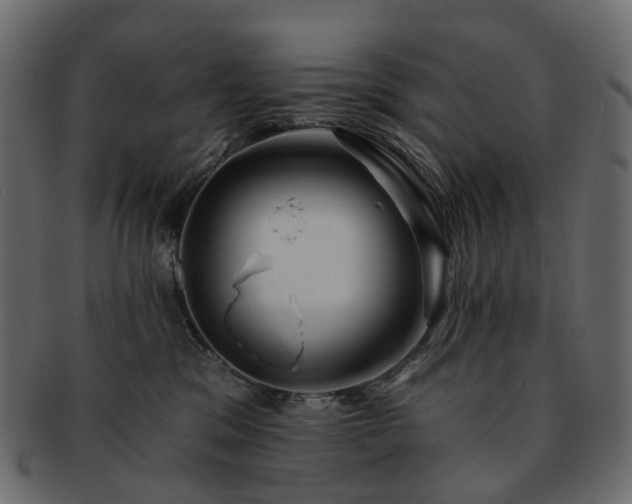 X0000093220329200710031444