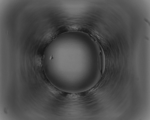 X0000093220331200710031444