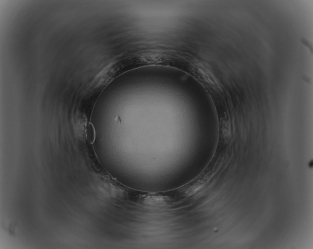 X0000093220332200710031444