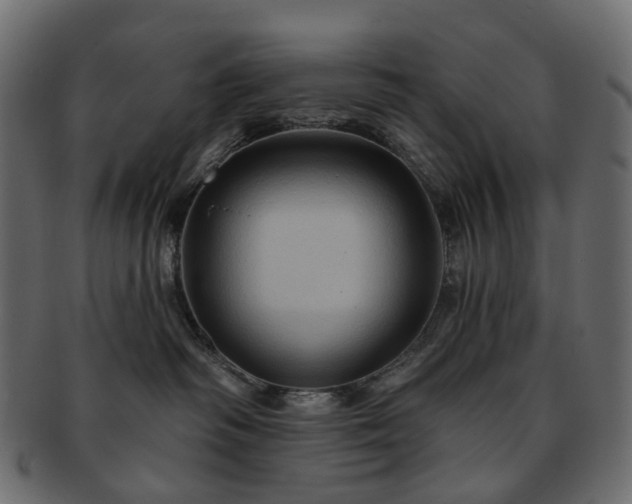 X0000093220334200710031444