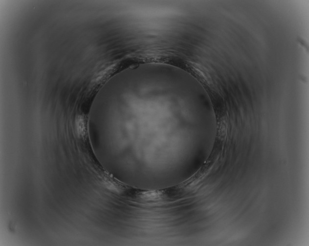 X0000093220335200710031444