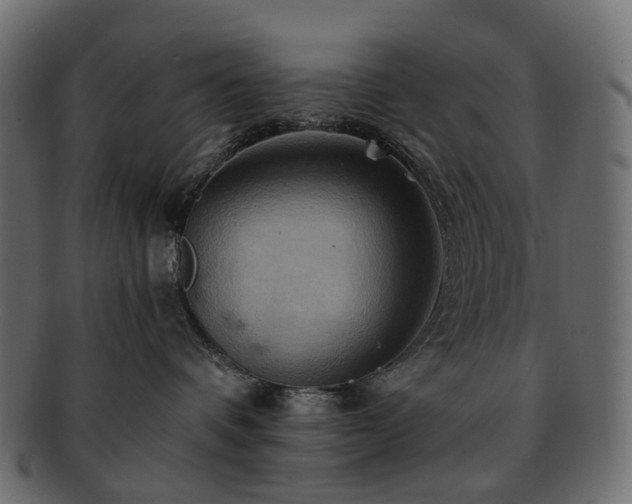 X0000093220336200710031444