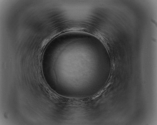 X0000093220337200710031443