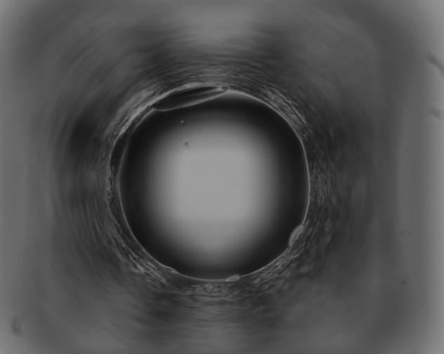 X0000093220338200710031443