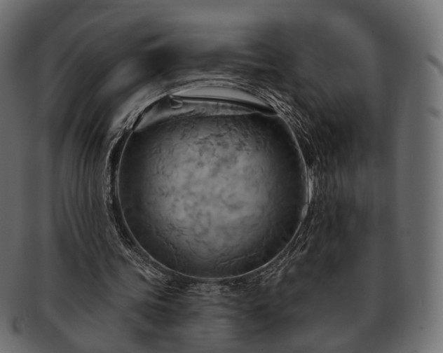 X0000093220339200710031443