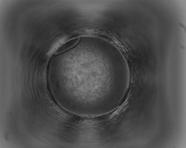 X0000093220341200710031443