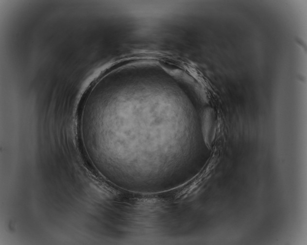 X0000093220342200710031443