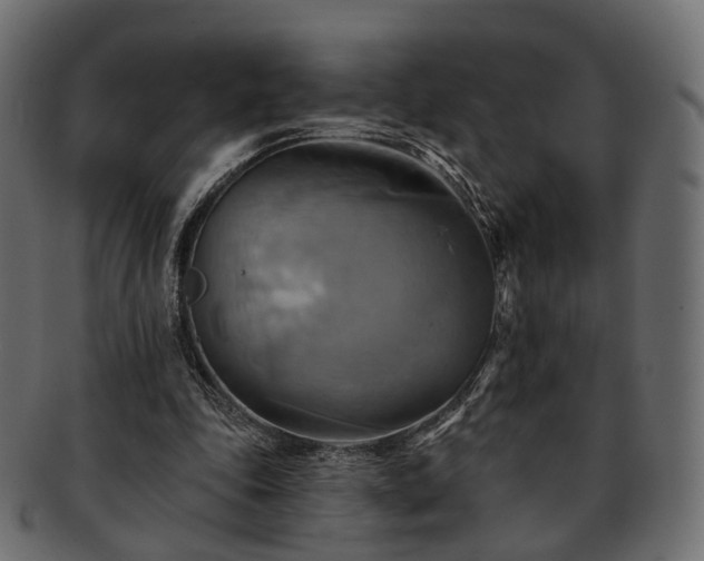 X0000093220343200710031443