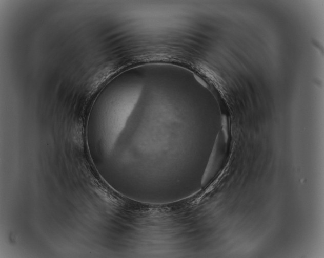 X0000093220345200710031443