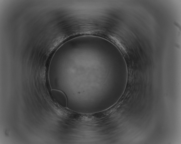 X0000093220346200710031443