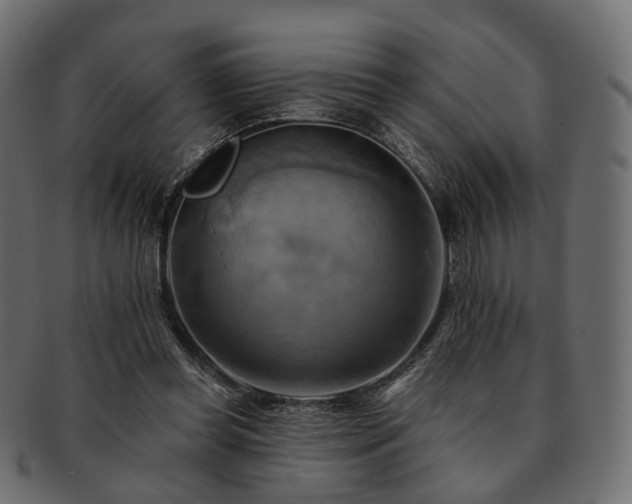 X0000093220349200710031443