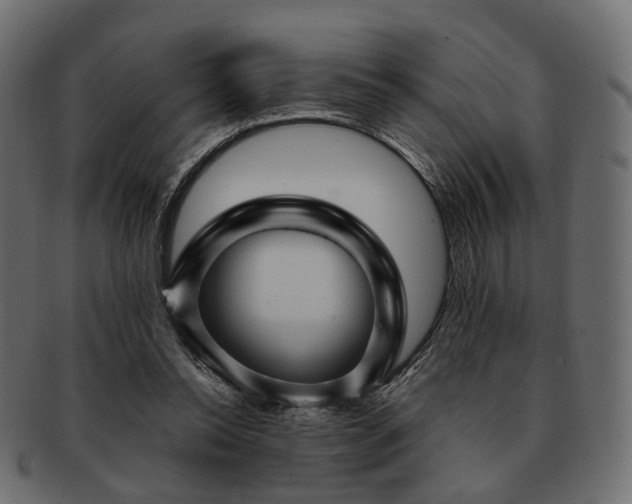 X0000093220350200710031443