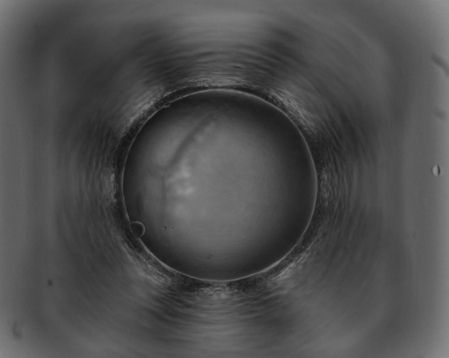 X0000093220351200710031443