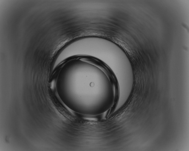 X0000093220352200710031443