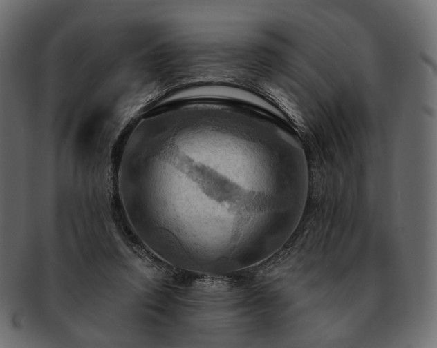 X0000093220354200710031443