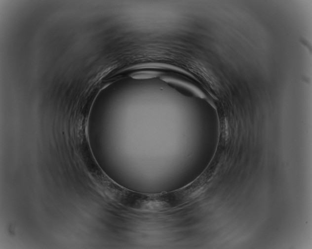 X0000093220360200710031444