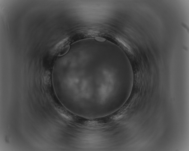 X0000093220361200710031444