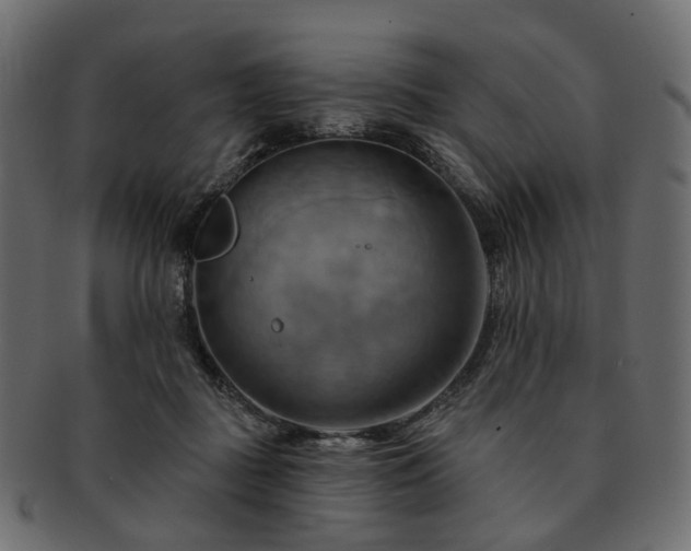 X0000093220363200710031444