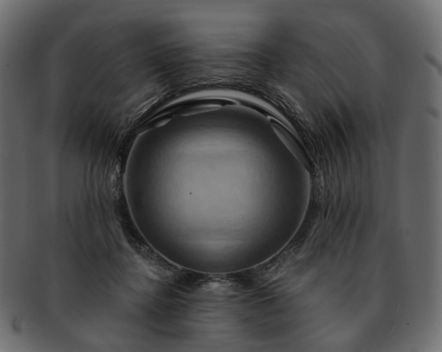 X0000093220364200710031444