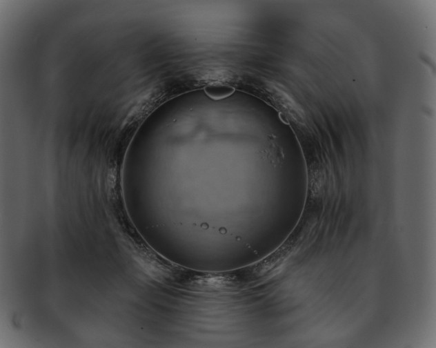 X0000093220365200710031444