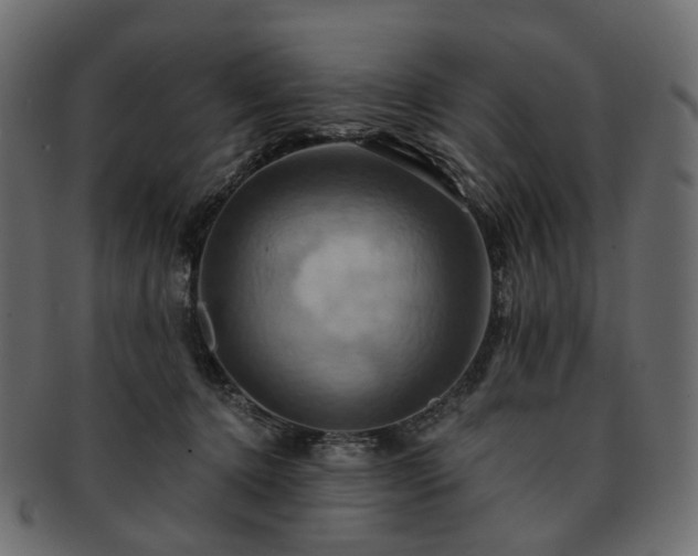 X0000093220368200710031444