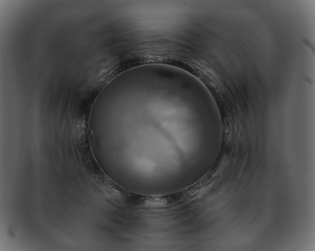 X0000093220369200710031444